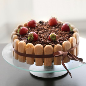 Tiramisu Cake