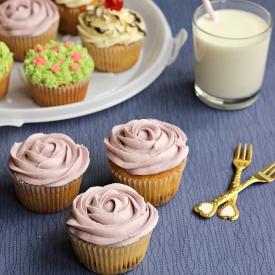 Vanilla Cupcakes