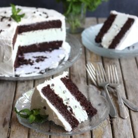 Mint Chocolate Chip Ice Cream Cake