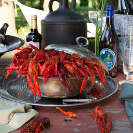 Hot & Juicy Crawfish with Beer