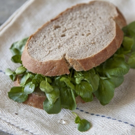 Watercress Sarnie