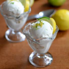 Lemon Lime Ice Cream