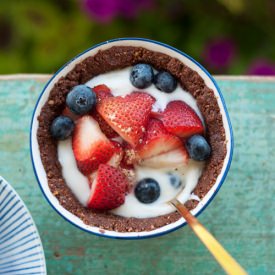 Chocolate Crusted Frozen Yogurt