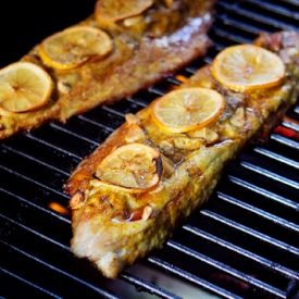 Grilled Bluefish