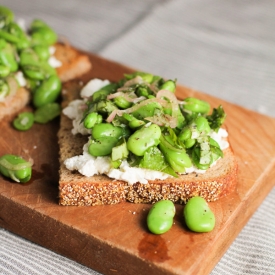 Fava Bean and Ricotta Crostini