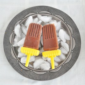 Dairy Free Fudgsicles