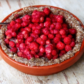 Wild Strawberry Vanilla Cream Pie