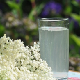 Elderflower Champagne