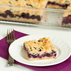 Blueberry Crumb Bars