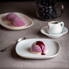 Blueberry Yogurt Icecream Minicakes