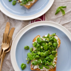 Broad Beans and Cheese on Toast