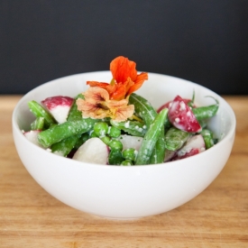 Bean and Radish Salad