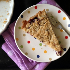 Blueberry Crumb Bars