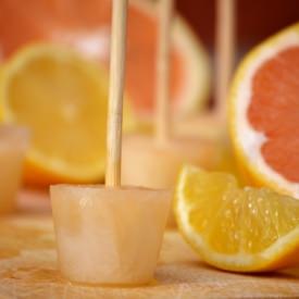 Grapefruit Lemon Popsicles