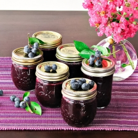 Blueberry Jam