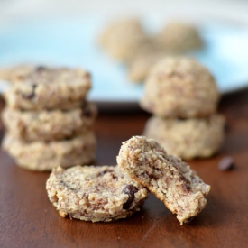 Chocolate Chip Paleo Cookies