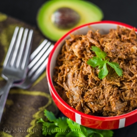 BBQ Pulled Pork