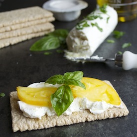 Greek Yogurt Cheese