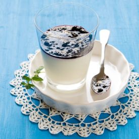 Greek Yogurt Panna Cotta