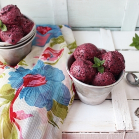 Blueberry Frozen Yogurt