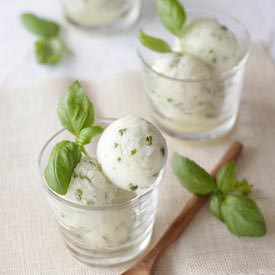 Fresh Lime Basil Sorbet