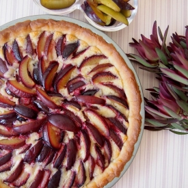 Plum Tart with Almond Cream