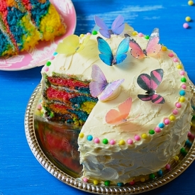 Rainbow Butterfly Cake