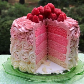 Raspberry Rose Ombre Cake