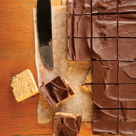 Chocolate Peanut Butter Squares