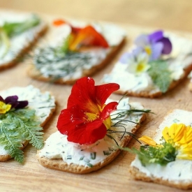 Edible Flower Canapés