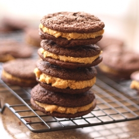 Chocolate Peanut Butter Cookies