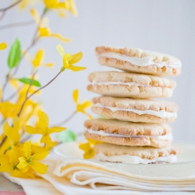 Lemon-Citrus Sandwich Cookies