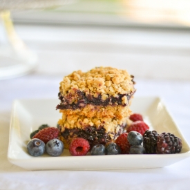 Blueberry Oatmeal Squares