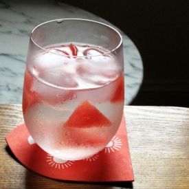 Watermelon Gin and Tonic