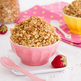 Chia Egg Coconut Granola (Oil-free)