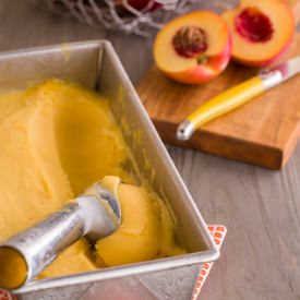 Honey Nectarine Sorbet