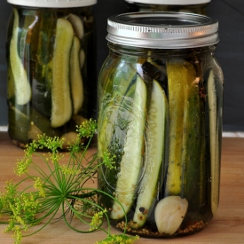 Refrigerator Garlic Dill Pickles