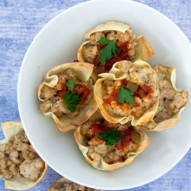 Wonton Cup Appetizer