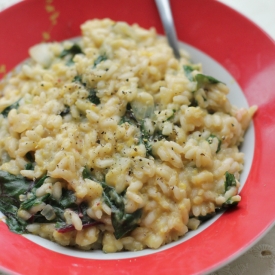 Corn and Caraway Risotto with Swiss