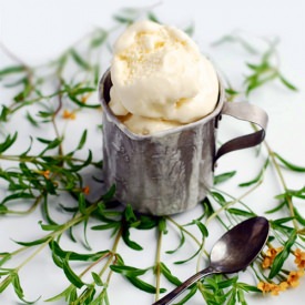 Buttermilk Lemon Verbena Ice Cream