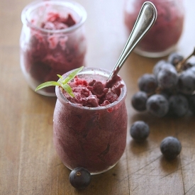 Concord Grape Sorbet