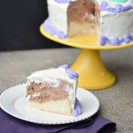 Classic Ice Cream Cake