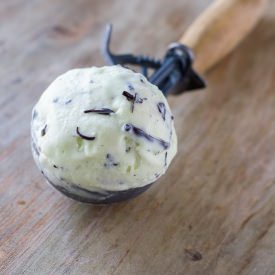 Mint Choc Chip Ice Cream