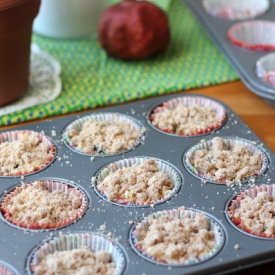 Blackberry Crumb Muffins