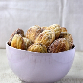 Sticky Date Madeleines