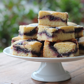 Blueberry Bars