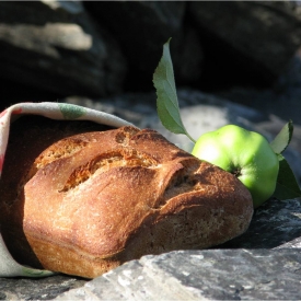 Feral Apple Sourdough Bread