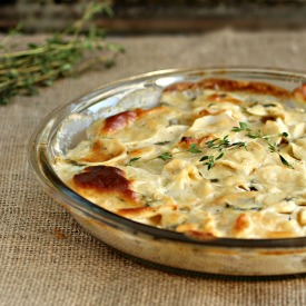 Parsnip and Thyme Gratin