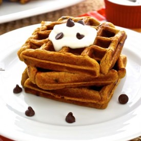 Pumpkin Graham Waffles w/ Choc Chips