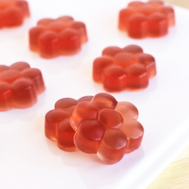 Hibiscus Homemade Gummies